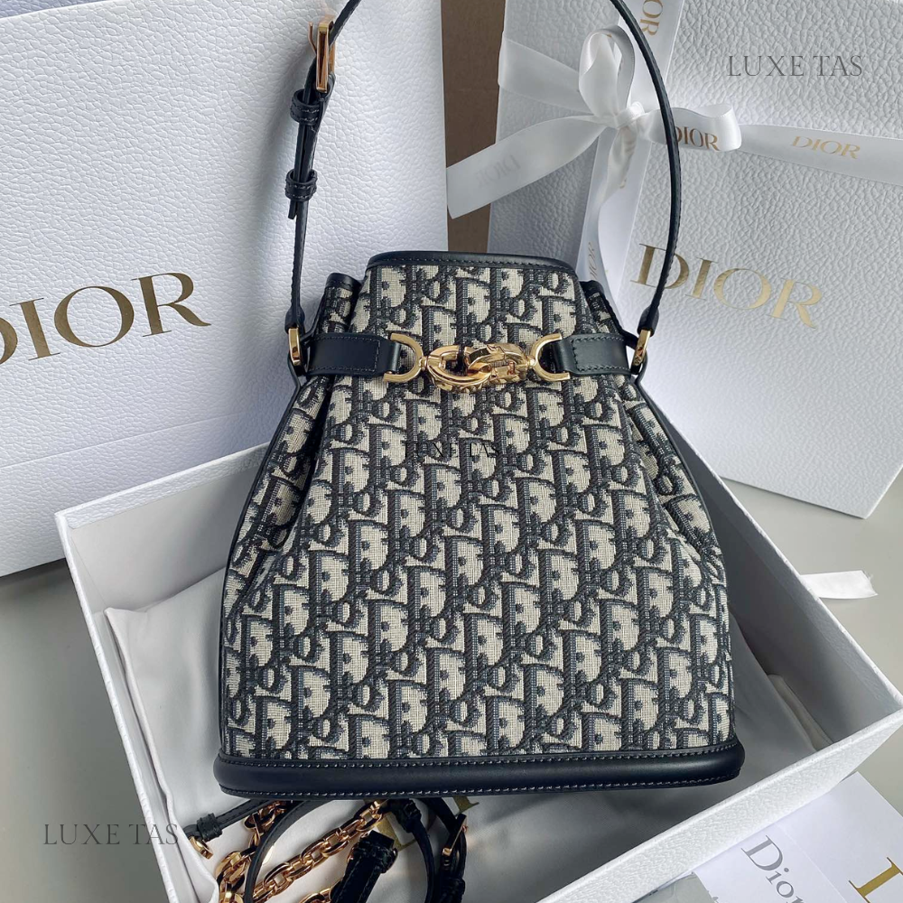 Blue Medium C'est Dior Bag