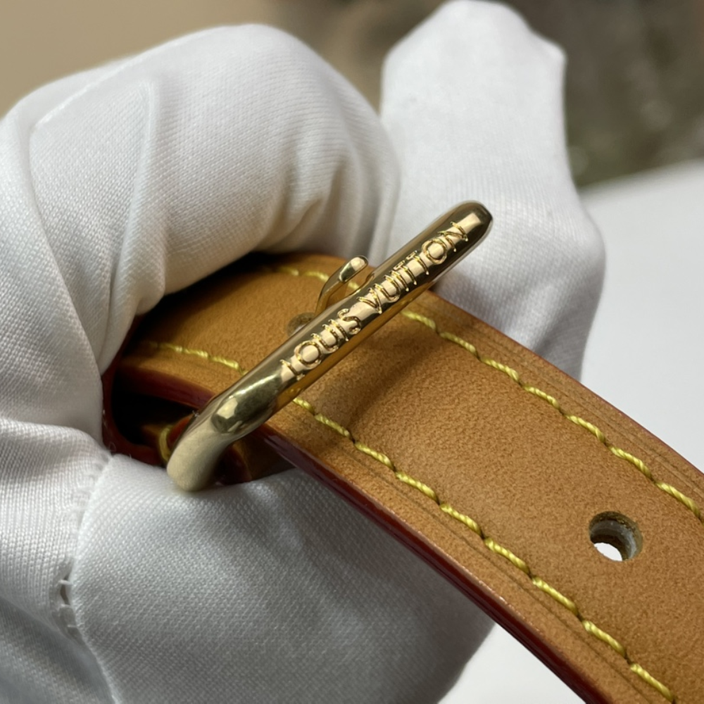Monogram Amazone Leather Crossbody Bag for Men