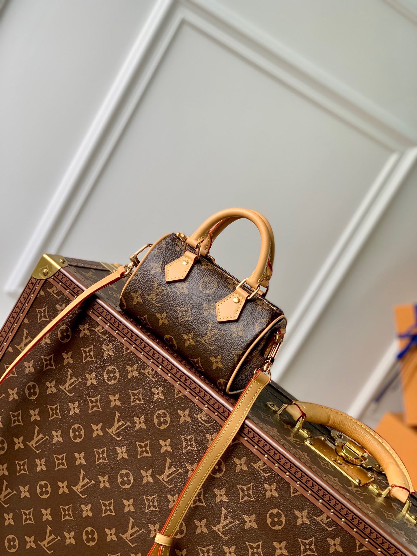 Monogram Nano Speedy