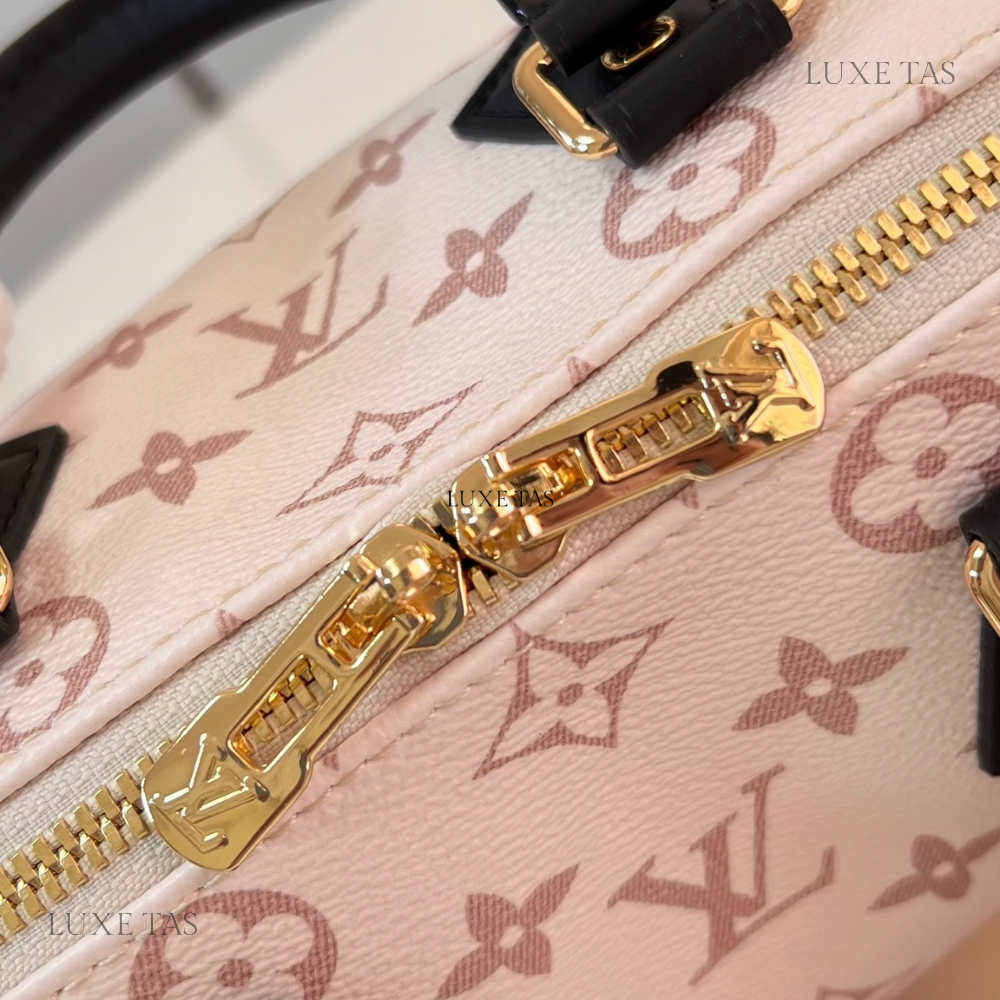 Other Monogram Canvas Speedy Bandoulière 20 - Leather Crossbody Bag for Women