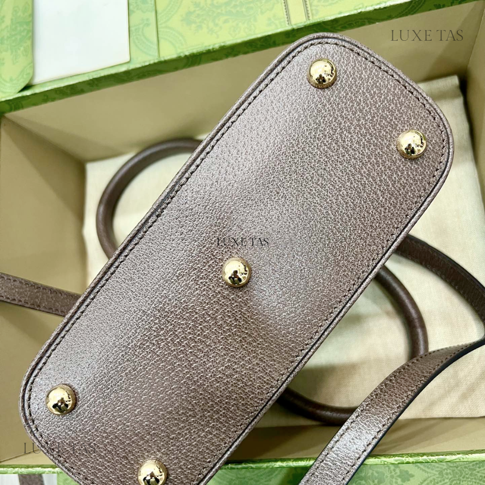 Beige and Ebony Ophidia GG Mini Top Handle Bag - Leather Handbag for Women